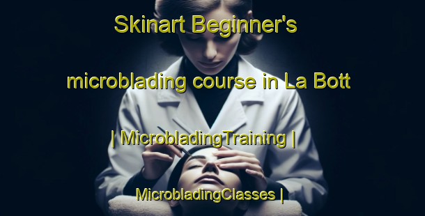 Skinart Beginner's microblading course in La Bott | MicrobladingTraining | MicrobladingClasses | SkinartTraining-United States